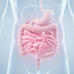 Gut Health in 2026: The Probiotic and Prebiotic Guide for the Middle East Climate and Diet