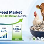 Global Mineral Feed Market to Reach USD 6.89 Billion by 2036 3 Global Mineral Feed Market to Reach USD 6.89 Billion by 2036