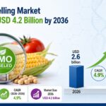 Global GMO Labelling Market to Reach USD 4.2 Billion by 2036