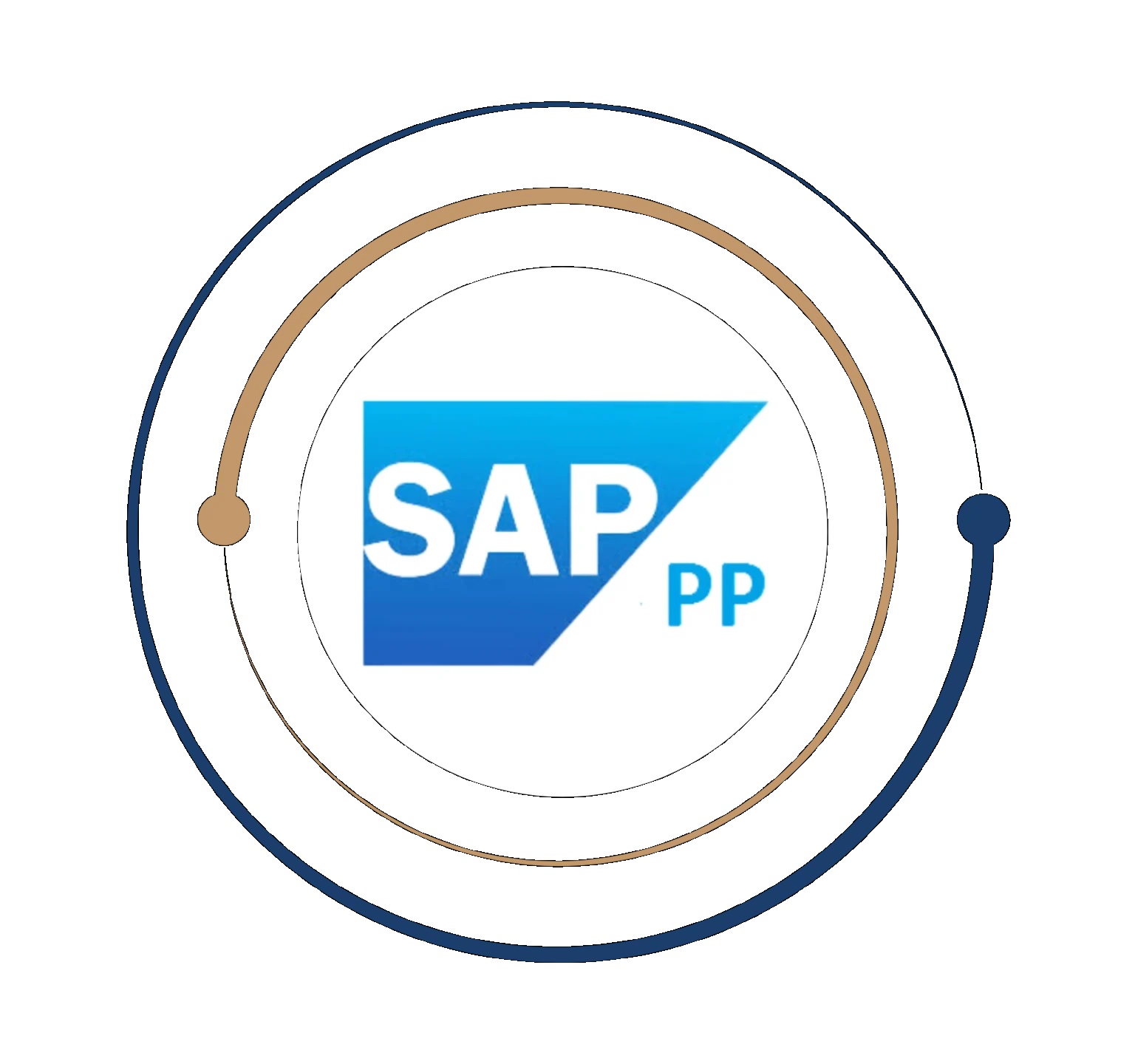 SAP PRODUCTION PLANNING