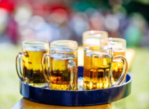 Ecuador Beer Market: Premium Brewing and Evolving Consumer Preferences Support Industry Growth