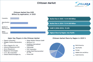 Stellar Market Research Report Highlights 19.63% CAGR for Chitosan Market 1 Stellar Market Research Report Highlights 19.63% CAGR for Chitosan Market
