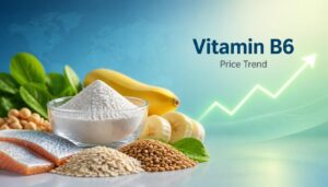 Vitamin B6 Price Trend: Market Movement, Supply and Demand Outlook 1 Vitamin B6 Price Trend: Market Movement, Supply and Demand Outlook