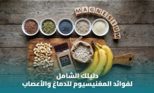 فوائد المغنيسيوم للأعصاب والذاكرة والنوم: دليل شامل لفهم هذا المعدن