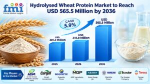 Global Hydrolysed Wheat Protein Market to Reach USD 565.5 Million by 2036 1 Global Hydrolysed Wheat Protein Market to Reach USD 565.5 Million by 2036
