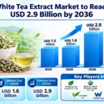 Global White Tea Extract Market to Reach USD 2.9 Billion by 2036