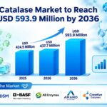 Global Catalase Market to Reach USD 593.9 Million by 2036 3 Global Catalase Market to Reach USD 593.9 Million by 2036