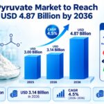 Global Pyruvate Market to Reach USD 4.87 Billion by 2036
