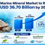 Global Marine Mineral Market to Reach USD 36.70 Billion by 2036 3 Global Marine Mineral Market to Reach USD 36.70 Billion by 2036