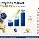 Brewing Enzymes Market