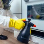 end of lease pest control1