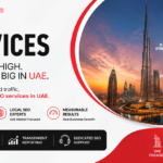 SEO Services UAE 3