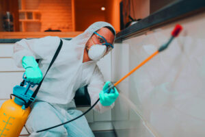 Professional Pest Control Mississauga: Reliable Solutions for Common Pest Problems