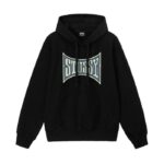 CHAMPION PIGMENT DYED HOODIE 700x700 1