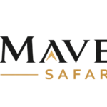 Desert Safari Dubai: The Complete Guide to Packages, Prices and What to Actually Expect 3 Desert Safari Dubai: The Complete Guide to Packages, Prices and What to Actually Expect