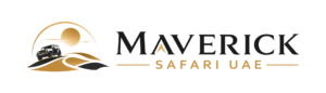 Desert Safari Dubai: The Complete Guide to Packages, Prices and What to Actually Expect
