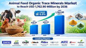 Animal Feed Organic Trace Minerals Market to Reach USD 1,762.90 Million by 2036