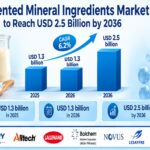 Fermented Mineral Ingredients Market