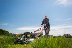 Your Guide to Professional Gardening Services in Toronto 1 Your Guide to Professional Gardening Services in Toronto