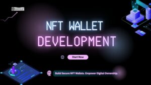 How Can Businesses Develop a Multi-Chain NFT Wallet? 1 How Can Businesses Develop a Multi-Chain NFT Wallet?