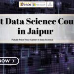 Rashi Digicrome blogs 35 under 150KB
