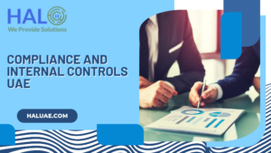 🔍 Strengthen Your Business with Expert Internal Audit Services UAE 1 🔍 Strengthen Your Business with Expert Internal Audit Services UAE