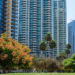 Wagholi Commercial Real Estate: Price Trends & Investment Outlook for 2026