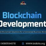 Blockchain Development BidBits