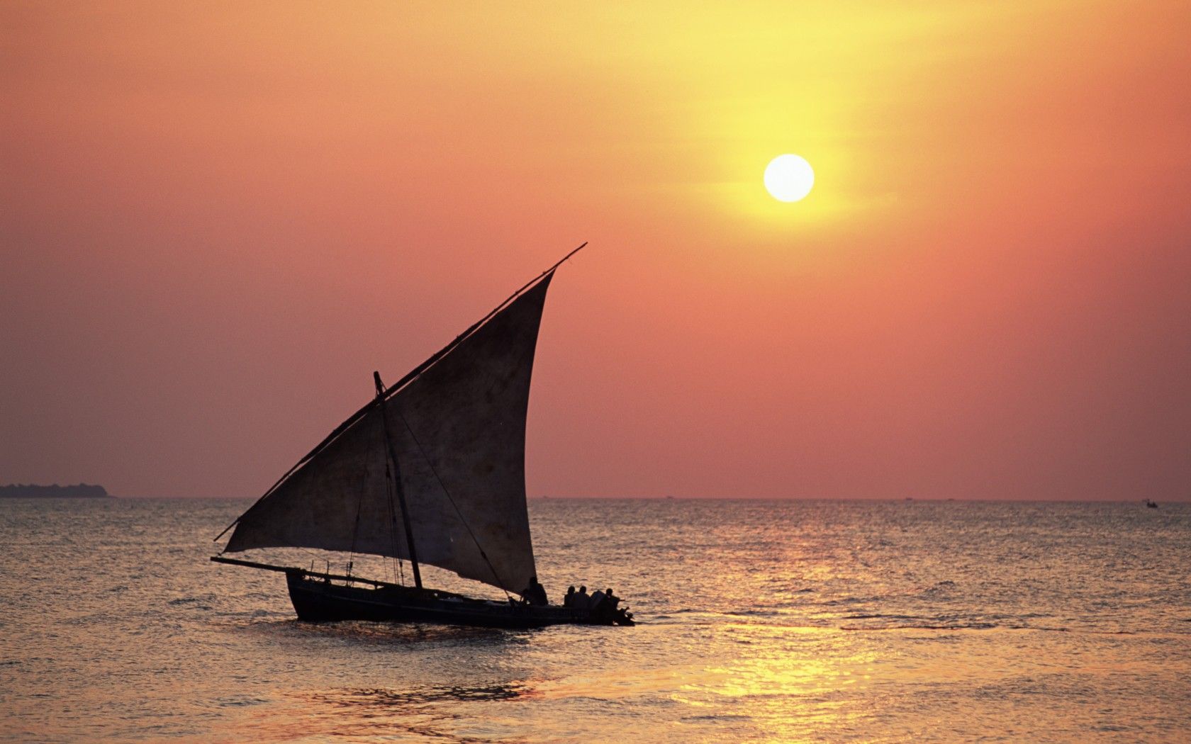 Dhow cruise