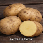 GermanButterball 1