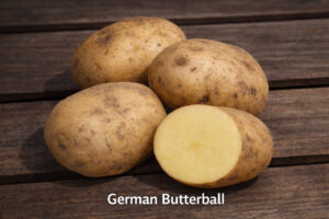Organic Seed Potatoes: How to Choose, Plant & Grow a Better Harvest