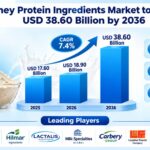 Whey Protein Ingredients Market