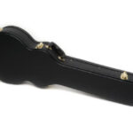 guitar casess