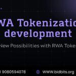 RWA Tokenization development BidBits