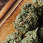 cbd