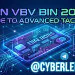 Your Non VBV Bin 2026 Guide to Advanced Tactics for Non VBV Bins 3 Your Non VBV Bin 2026 Guide to Advanced Tactics for Non VBV Bins