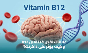 فيتامين B12: فوائده ومصادره وأهميته لصحة الأعصاب والدم 1 فيتامين B12: فوائده ومصادره وأهميته لصحة الأعصاب والدم