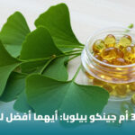 الفرق بين أوميغا 3 وجنكو بيلوبا: مقارنة شاملة قبل اختيار المكمل 3 الفرق بين أوميغا 3 وجنكو بيلوبا: مقارنة شاملة قبل اختيار المكمل