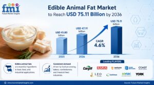 Edible Animal Fat Market to Reach USD 75.11 Billion by 2036