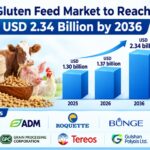 Gluten Feed Market to Reach USD 2.34 Billion by 2036