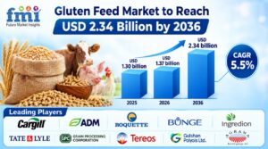 Gluten Feed Market to Reach USD 2.34 Billion by 2036