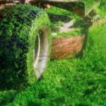 How to Grow Thick Grass in Martha’s Vineyard’s Coastal Soil