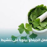 %D8%A7%D9%84%D8%AC%D9%8A%D9%86%D9%83%D9%88 %D8%A8%D9%8A%D9%84%D9%88%D8%A8%D8%A7