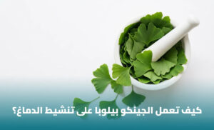 الجنكو بيلوبا: فوائده واستخداماته وما تقوله الدراسات العلمية