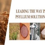 Finding Consistent Quality with a Psyllium Manufacturer in Australia