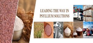 Finding Consistent Quality with a Psyllium Manufacturer in Australia