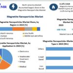 Magnetite Nanoparticles Market Analysis, Market Trends and Development Outlook