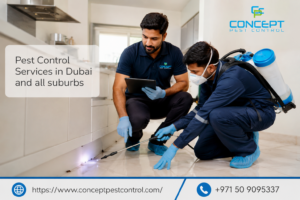 Why Choose 24/7 Pest Control Services in Dubai for Urgent Pest Problems? 1 Why Choose 24/7 Pest Control Services in Dubai for Urgent Pest Problems?