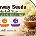 Caraway Seeds Market Size to Reach USD 3.31 Billion by 2036, Driven by Premium Bakery Expansion