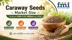 Caraway Seeds Market Size to Reach USD 3.31 Billion by 2036, Driven by Premium Bakery Expansion